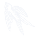 Icon, Illustration: contact