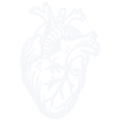 Icon, Illustration: values